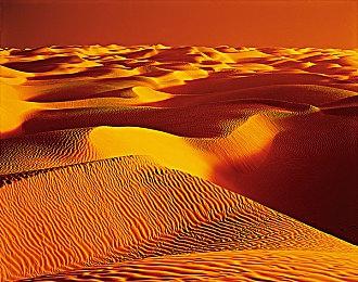 《黑色国度》DLSS4光追演示 画面逼真精美绝伦