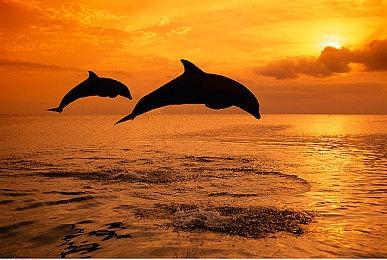 微软加快XSX＆S启动时间 节能模式每次可节省5秒