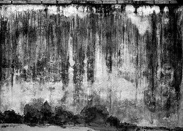 《塞尔达传说：王国之泪》明晚将展示10分钟实机